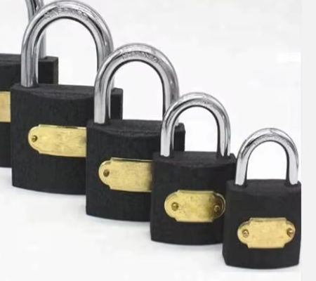 القفل المقاوم للطقس الحديد 20mm 25mm 30mm ODM